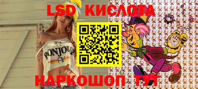 шишки Гудермес