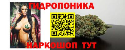шишки Гудермес