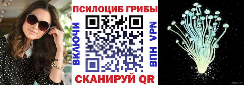 сколько стоит Калач-на-Дону Псилоцибиновые грибы Psilocybine cubensis