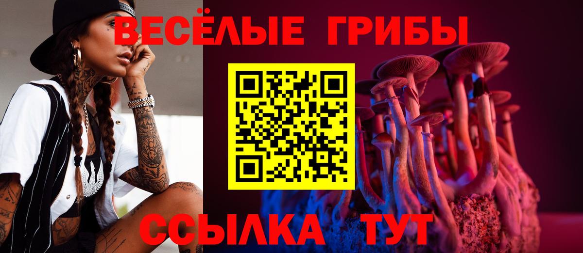 Псилоцибиновые грибы мухоморы Калач-на-Дону