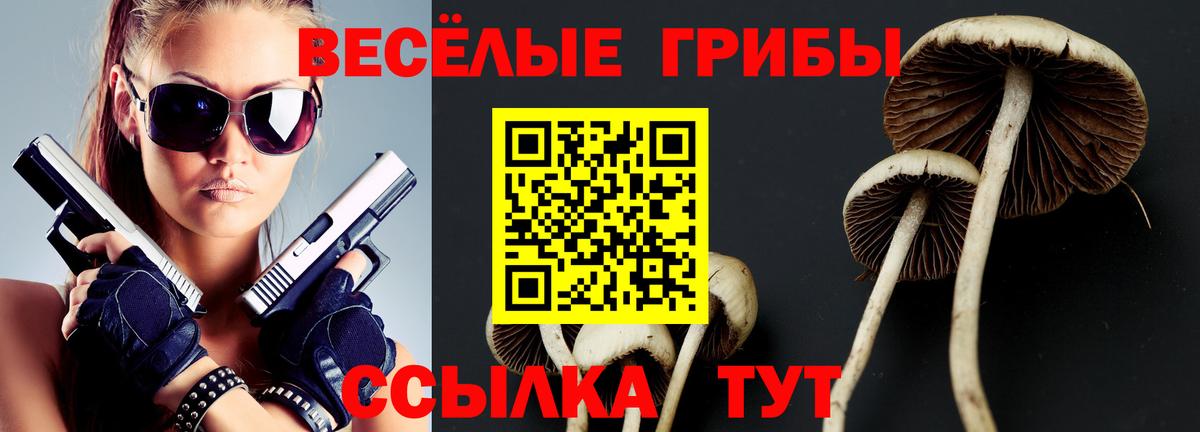 Галлюциногенные грибы Magic Shrooms  Вход с VPN  Калач-на-Дону 
